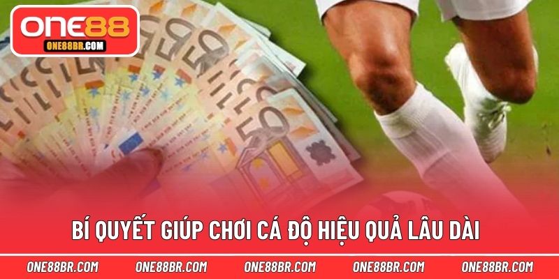 Bí quyết giúp chơi cá độ hiệu quả lâu dài