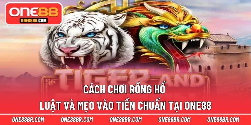 Cách chơi rồng hổ