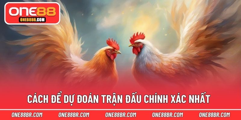 Cách để dự đoán trận đấu chính xác nhất