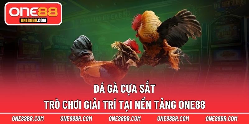 Đá gà cựa sắt