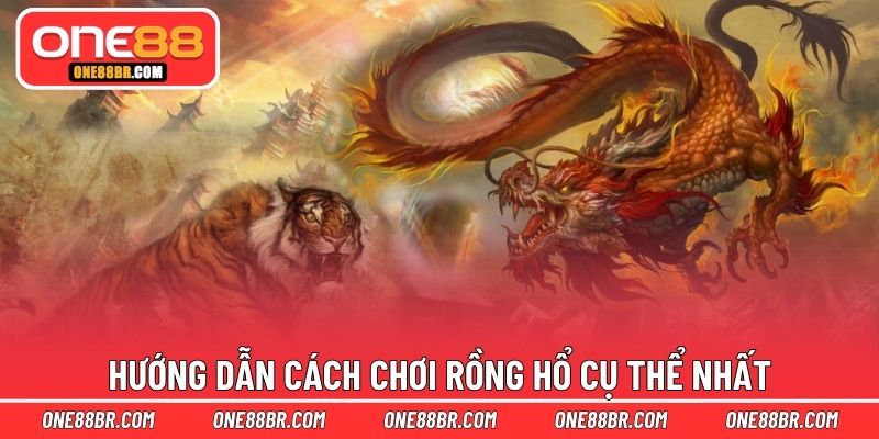 Hướng dẫn cách chơi rồng hổ cụ thể nhất
