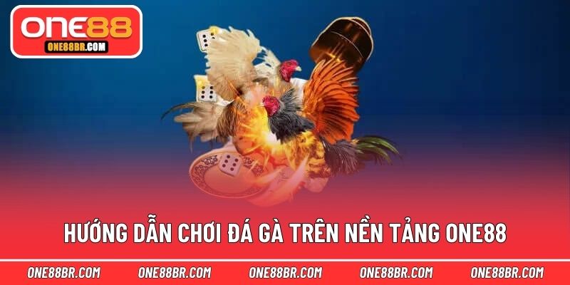 Hướng dẫn chơi đá gà trên nền tảng ONE88