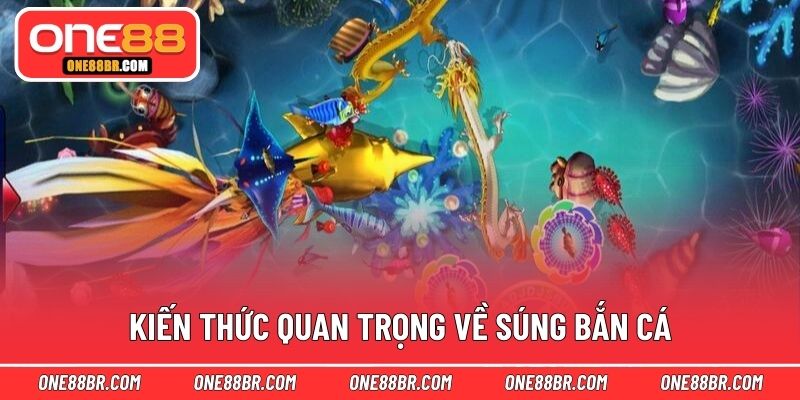 Kiến thức quan trọng về súng bắn cá