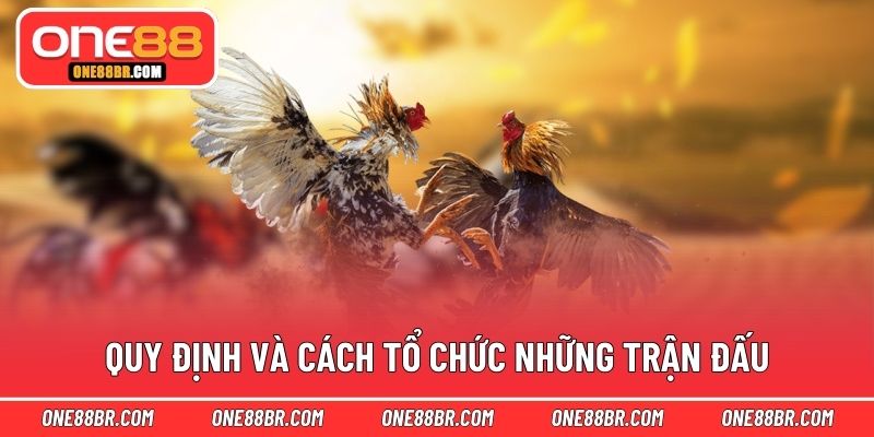 Quy định và cách tổ chức những trận đấu