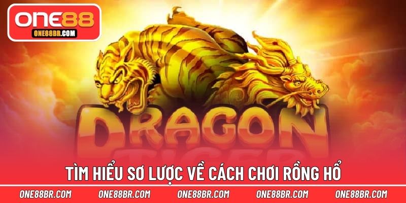 Tìm hiểu sơ lược về cách chơi rồng hổ