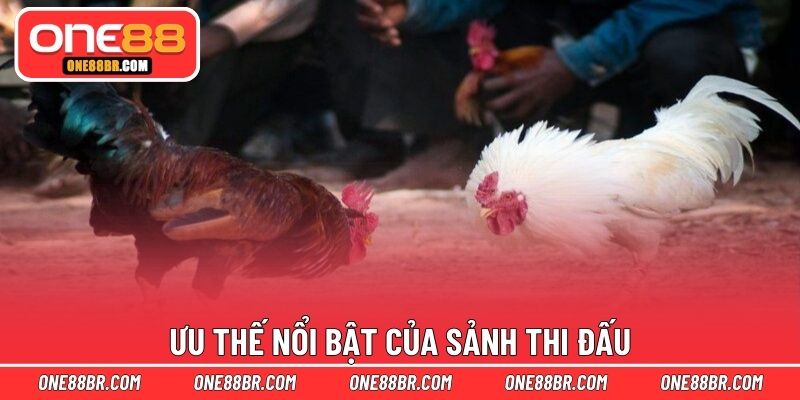 Ưu thế nổi bật của sảnh thi đấu